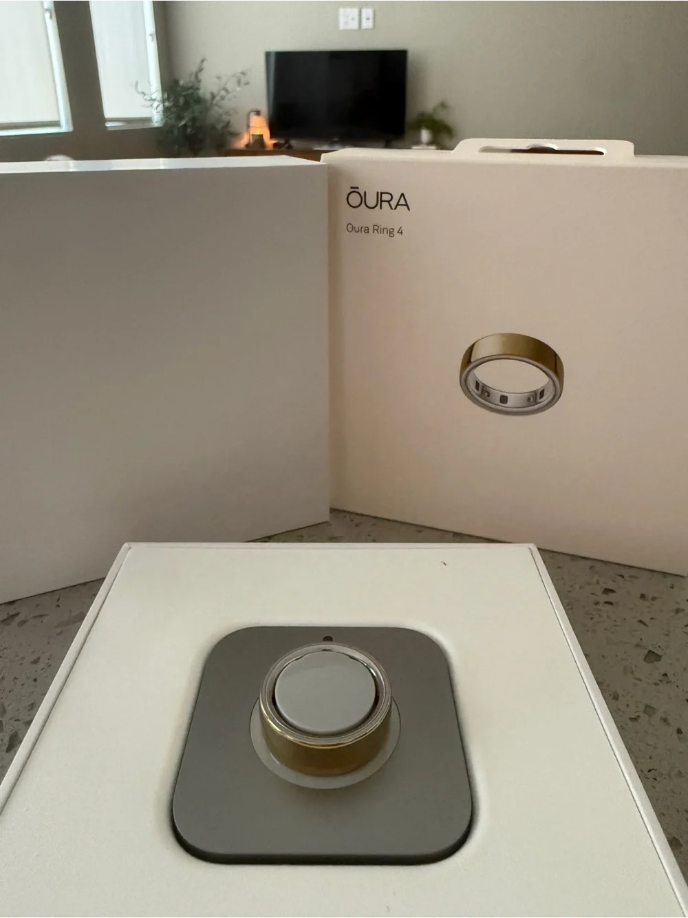 Oura Ring 4 in Gold